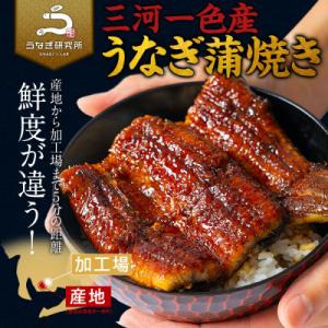 ふるさと納税 西尾市 三河一色産うなぎ蒲焼特大...の詳細画像1