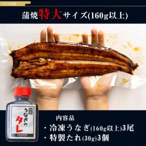 ふるさと納税 西尾市 三河一色産うなぎ蒲焼特大...の詳細画像3