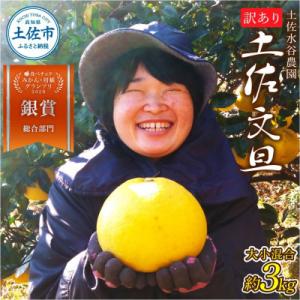 ふるさと納税 土佐市 柑橘グランプリ銀賞受賞　土佐水谷農園の土佐文旦　3kg(5個前後)　家庭用訳あ...