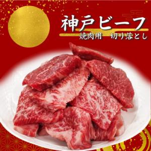 ふるさと納税 太子町 【神戸ビーフ】訳アリ　焼肉用切り落とし　小分け250g×2【バラ、肩ロース、モ...
