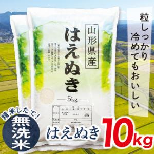 ふるさと納税 最上町 【無洗米】令和7年産山形県産はえぬき10kg