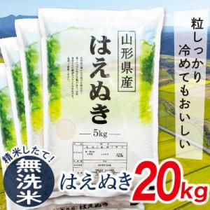 ふるさと納税 最上町 【無洗米】令和7年産 山形県産はえぬき20kg
