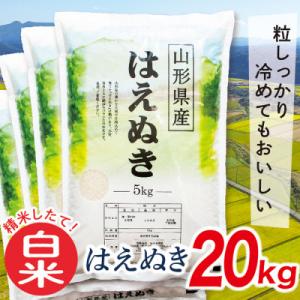 ふるさと納税 最上町 【白米】令和7年産山形県産はえぬき20kg