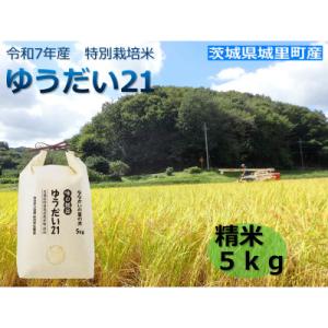 ふるさと納税 茨城県 令和7年産　特別栽培米「ゆうだい21」精米5kg
