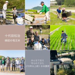ふるさと納税 竜王町 【令和7年産】特別栽培米...の詳細画像1