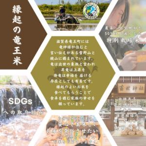 ふるさと納税 竜王町 【令和7年産】特別栽培米...の詳細画像3
