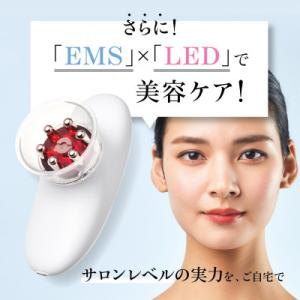 ふるさと納税 つくばみらい市 WAVEWAVE...の詳細画像3