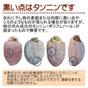 ふるさと納税 豊丘村 不揃い【南信州産】市田柿...の詳細画像3