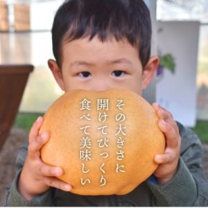 ふるさと納税 津山市 【2026年先行予約】あ...の詳細画像1