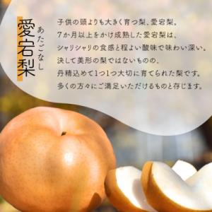 ふるさと納税 津山市 【2026年先行予約】あ...の詳細画像2