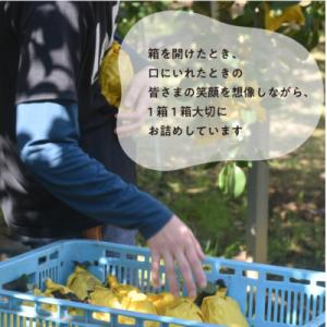 ふるさと納税 津山市 【2026年先行予約】あ...の詳細画像3