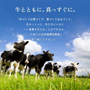 ふるさと納税 阿蘇市 阿部牧場 三ツ星受賞牛乳...の詳細画像2