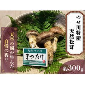 ふるさと納税 野迫川村 奈良県野迫川村産　松茸　300g
