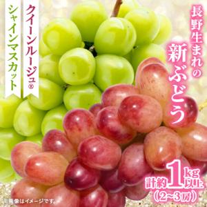 ふるさと納税 長野市 【2026年先行受付】クイーンルージュ(R)&amp;シャインマスカット1kg以上(2...