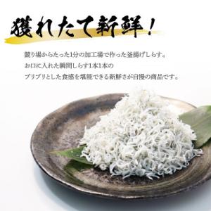 ふるさと納税 芸西村 高知県産 釜揚げしらす ...の詳細画像1