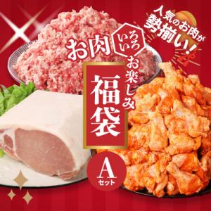 ふるさと納税 木城町 福袋 木城町 お肉いろいろお楽しみセットA　(K16_0069_3)