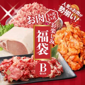 ふるさと納税 木城町 福袋 木城町 お肉いろいろお楽しみセットB　K16_0070_3