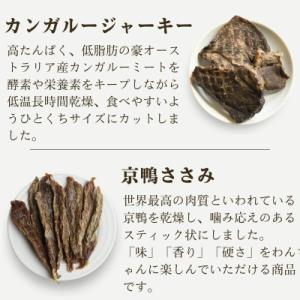 ふるさと納税 三田市 わんのはな 愛犬用 無添...の詳細画像2