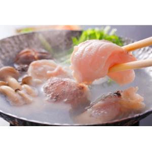 ふるさと納税 佐世保市 よか魚長崎産天然クエ鍋