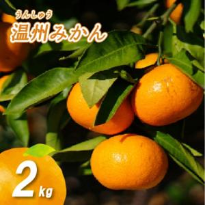 ふるさと納税 八幡浜市 【三つ星ブランド】星乃みかん(5.5kg)【C45-99