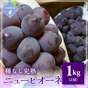 ふるさと納税 津山市 【先行予約 2027年発送】岡山県産　種なし完熟 ニューピオーネ　2房(約1k...