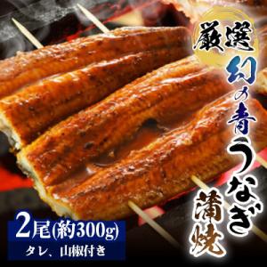 ふるさと納税 田原市 厳選 幻の青うなぎ 蒲焼 ...の商品画像