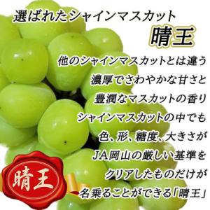 ふるさと納税 里庄町 【2026年発送】岡山名...の詳細画像1