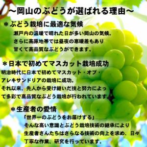 ふるさと納税 里庄町 【2026年発送】岡山名...の詳細画像2