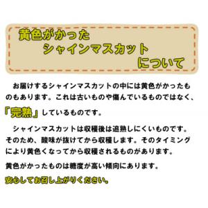 ふるさと納税 里庄町 【2026年発送】岡山名...の詳細画像3