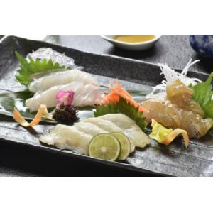 ふるさと納税 佐世保市 天然クエ刺し贅沢極め盛り