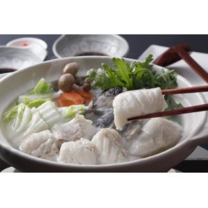 ふるさと納税 佐世保市 九十九島クエ鍋セット