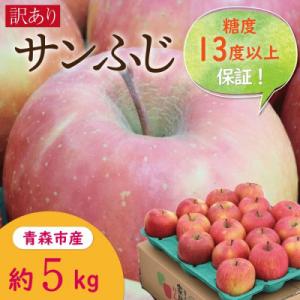 ふるさと納税 青森市 【青森市産】糖度13度以上保証!サンふじ 訳アリ 家庭用 約5kg ※離島・沖...