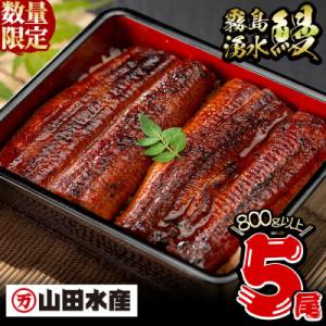 ふるさと納税 志布志市 【数量限定】【お礼の品人...の商品画像