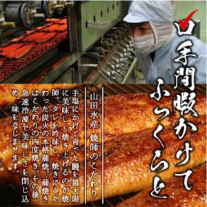 ふるさと納税 志布志市 【数量限定】【お礼の品...の詳細画像1