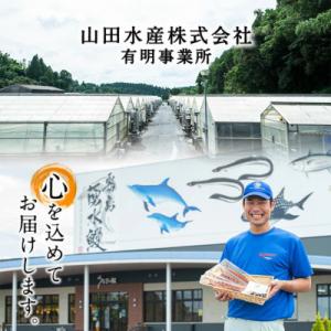 ふるさと納税 志布志市 【数量限定】【お礼の品...の詳細画像3