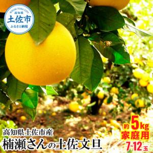 ふるさと納税 土佐市 高知県土佐市産 楠瀬さんの土佐文旦 家庭用 約5kg(4L〜Lサイズ　7〜12...