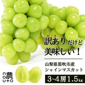 ふるさと納税 笛吹市 先行受付 2025年 生産量日本一 山梨県笛吹 訳ありシャインマスカット3〜4房 合計約1.5kg