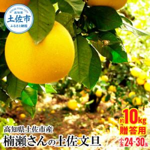 ふるさと納税 土佐市 高知県土佐市産 楠瀬さんの土佐文旦 贈答用 小玉 約10kg(L〜Mサイズ 2...