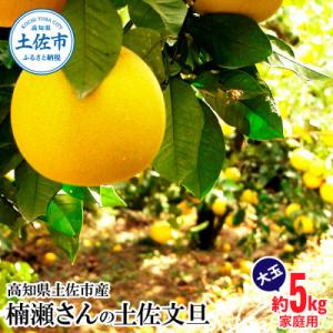 ふるさと納税 土佐市 高知県土佐市産 楠瀬さんの土佐文旦 家庭用 大玉 約5kg(4L〜2Lサイズ　7〜10玉)