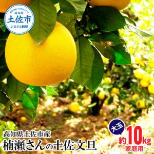 ふるさと納税 土佐市 高知県土佐市産 楠瀬さんの土佐文旦 家庭用 大玉 約10kg(4L〜2Lサイズ...