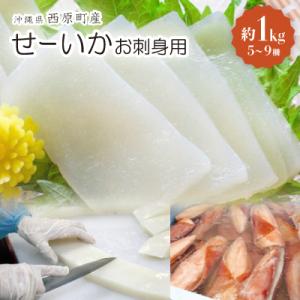 ふるさと納税 西原町 セーイカ お刺身用 約1kg(5〜9柵)