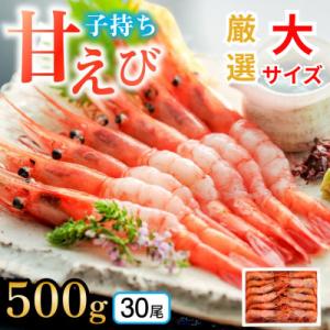 ふるさと納税 小浜市 とろける甘さ　ぷりぷり食感!　子持ち甘えび　500g(約30尾)×1箱