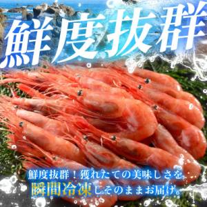 ふるさと納税 小浜市 とろける甘さ ぷりぷり食...の詳細画像1