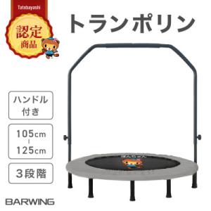 ふるさと納税 館林市 ぽんちゃん ハンドル付き ...の商品画像