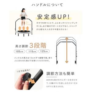 ふるさと納税 館林市 ぽんちゃん ハンドル付き...の詳細画像2