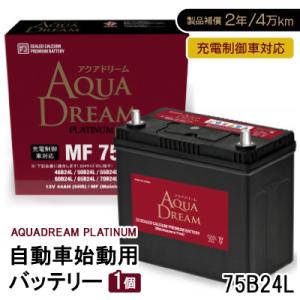ふるさと納税 湖西市 【パナソニック カーバッテリー】Blue Battery