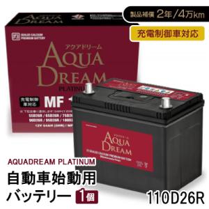 Panasonic（パナソニック） ブルーバッテリー安心サポートセット