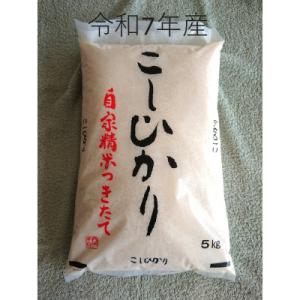 ふるさと納税 鉾田市 厳選　茨城県産コシヒカリ　精米5kg