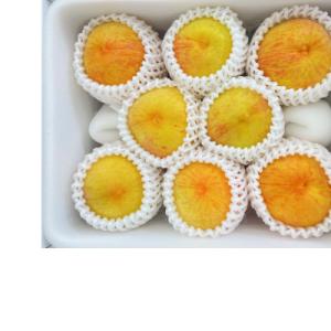 ふるさと納税 美咲町 岡山県産《黄金桃》