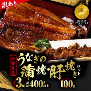 ふるさと納税 山梨市 【訳あり】山梨県産富士山脈の地下水うなぎの蒲焼(3尾・約400g以上+100g...